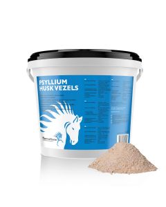 Psyllium paard