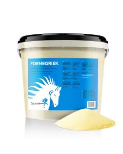 Foenegriek paard 