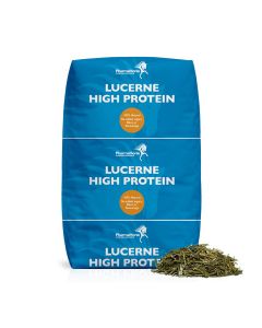 Luzerne High Protein 