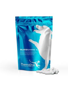 Glucosamine XL hond