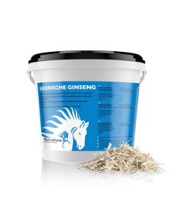 Siberische Ginseng paard 