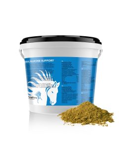 Herbal Glucose Support