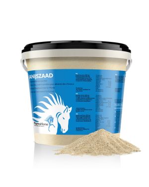 Anijs paard