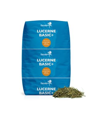Luzerne Basic+