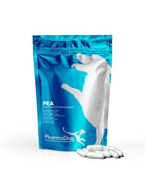 PEA (palmitoylethanolamide) hond