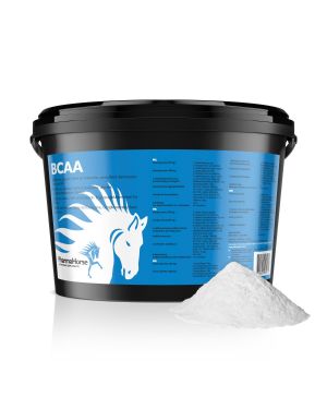 BCAA paard