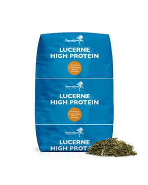 Luzerne High Protein 
