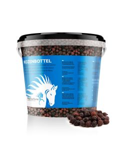 Rozenbottel paard
