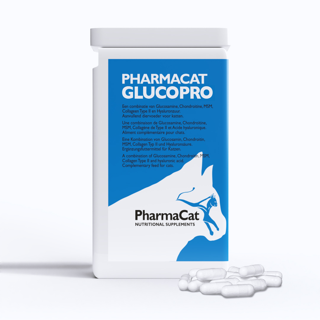Afbeelding Glucopro kat door Pharmahorse.nl