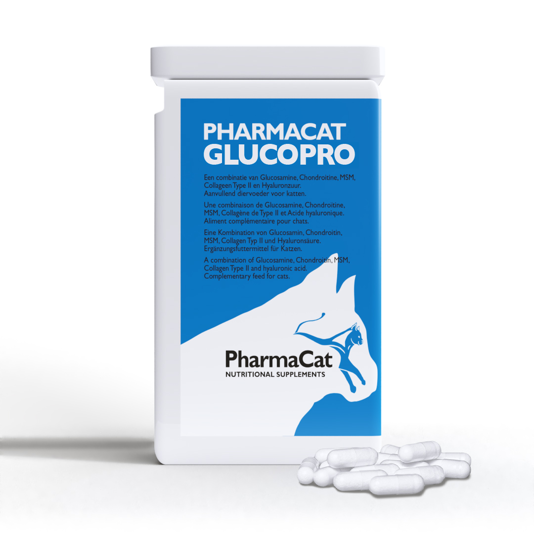 Glucopro kat