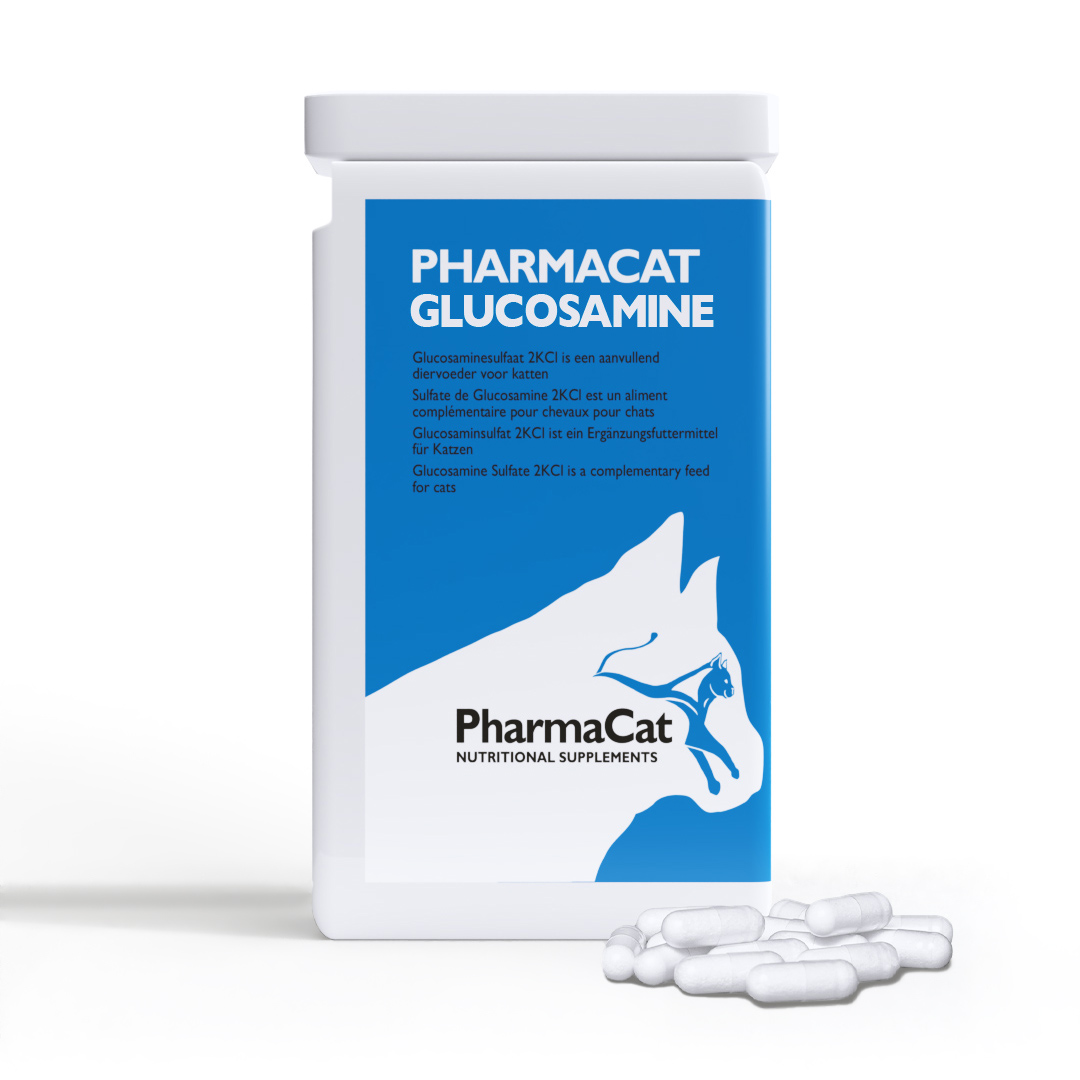 Afbeelding Glucosamine kat door Pharmahorse.nl